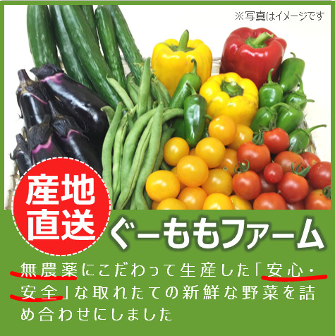 安心安全完全無農薬丹波産美味しい無農薬野菜詰め合わせ果物
