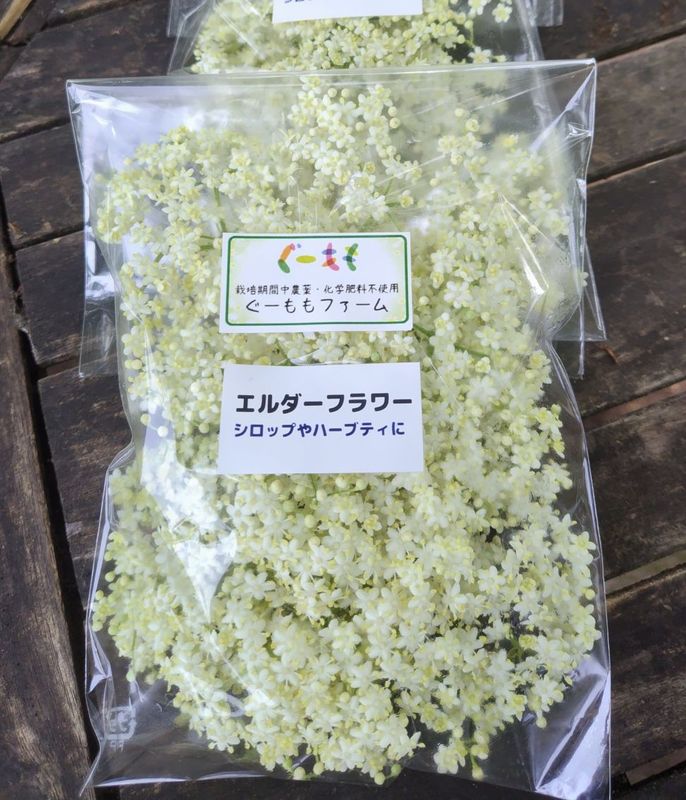 ڵꡦեåϡ֡򽣰Υե֡