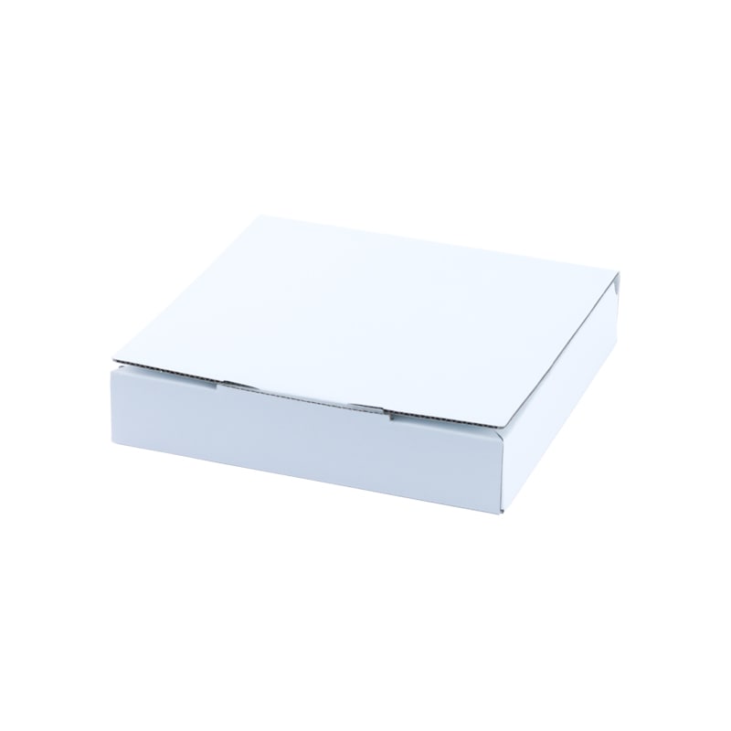 ピザ23[入数:100]