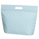 プレミアムチャック付保冷バック L (スカイブルー) [入数:100]|保冷袋|保存・保冷剤