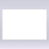 テーブルマット高級和紙 尺3寸 白無地[入数:1,500]