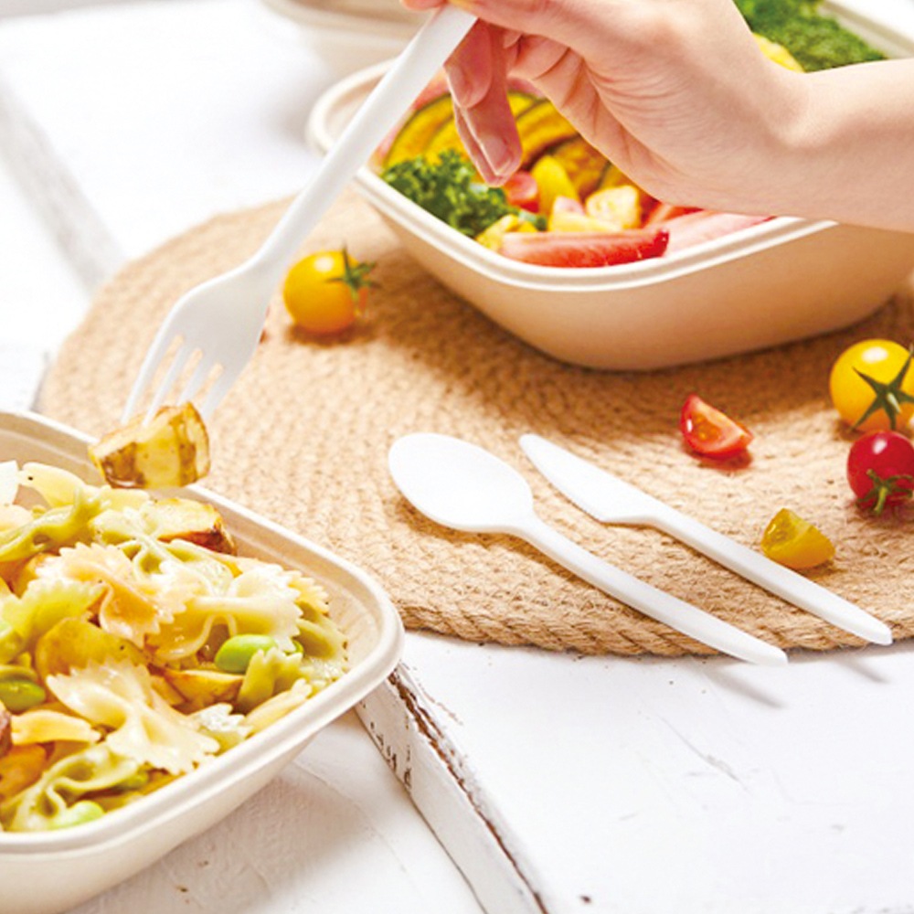 SBT-16cm C-PLAスプーン白（個包装）[入数:2,000] | カトラリー