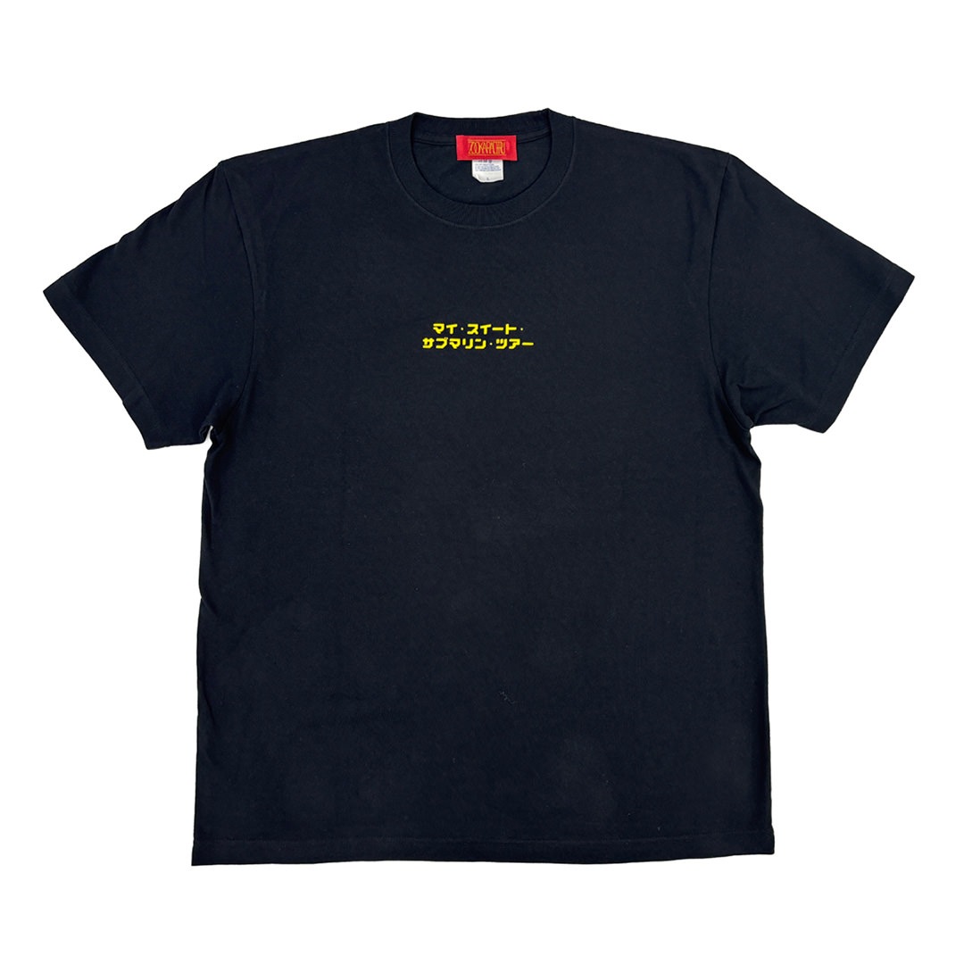 人工衛星みーつけT(黒)