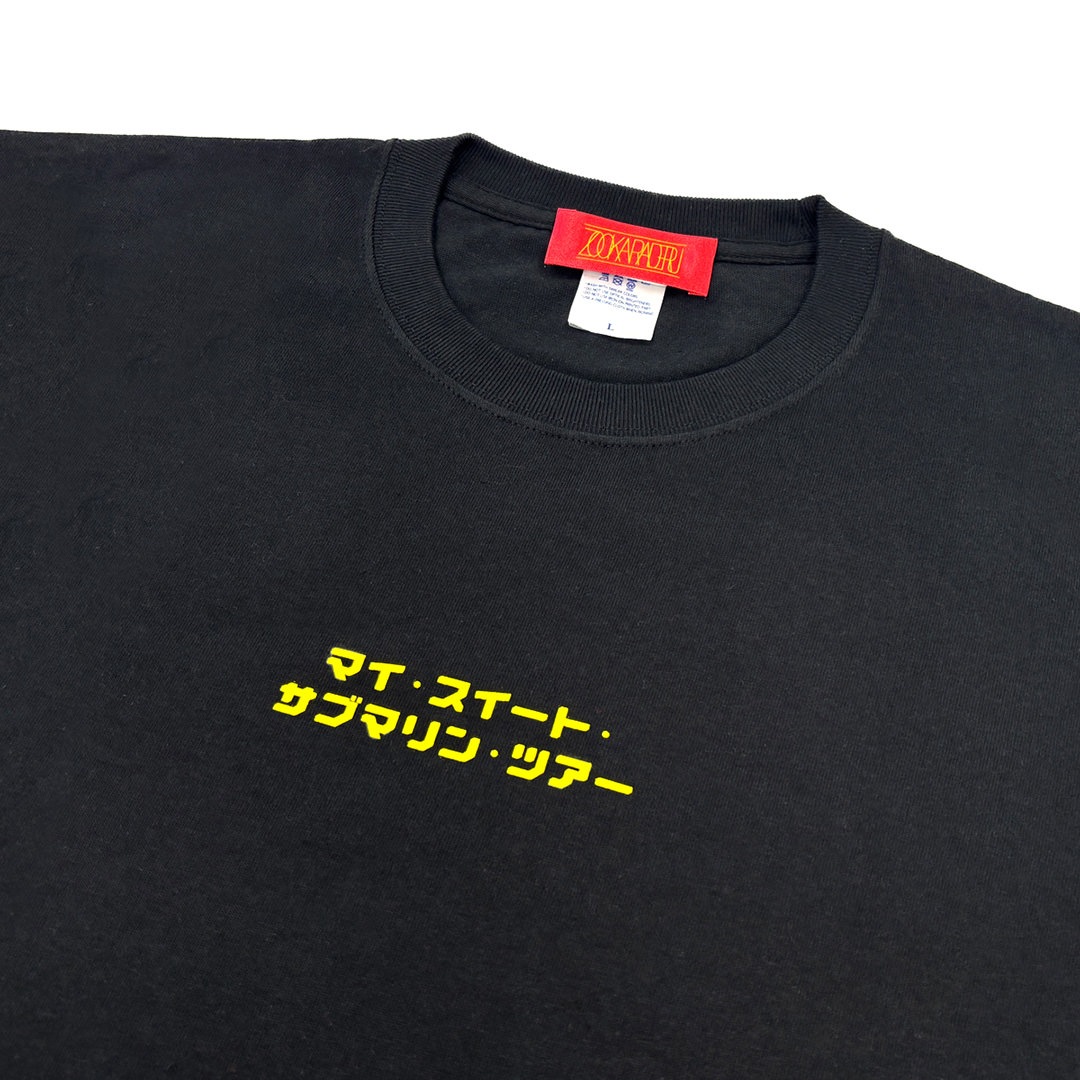 人工衛星みーつけT(黒)