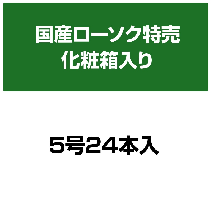 塔印ローソク 5号 24本入