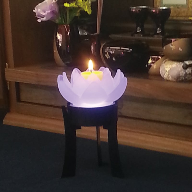 とうろう清蓮華　1個