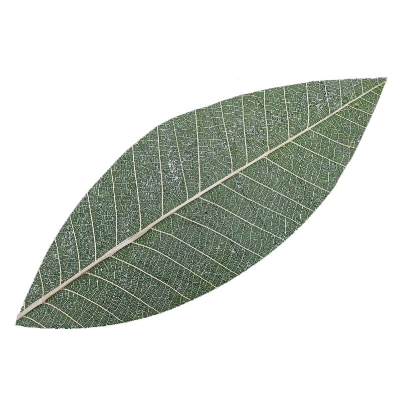 散華 無憂樹100枚 1組(化粧箱入)