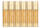 [SiniCare] Gold Serum ɥ ץ饻Ʊա50ml6ܥå