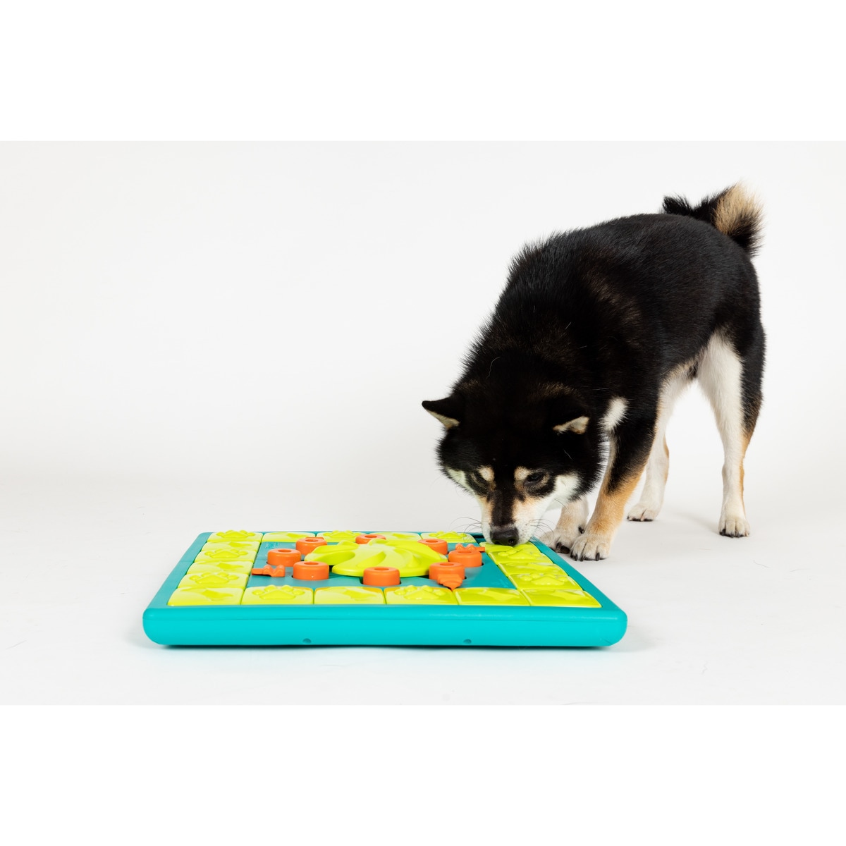 ニーナオットソン] | [犬の知育玩具] | [犬の知育おもちゃ] [犬