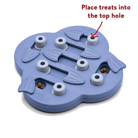 ニーナオットソン　DOG Hide　and Slide   COMPOSITE NEW COLOR