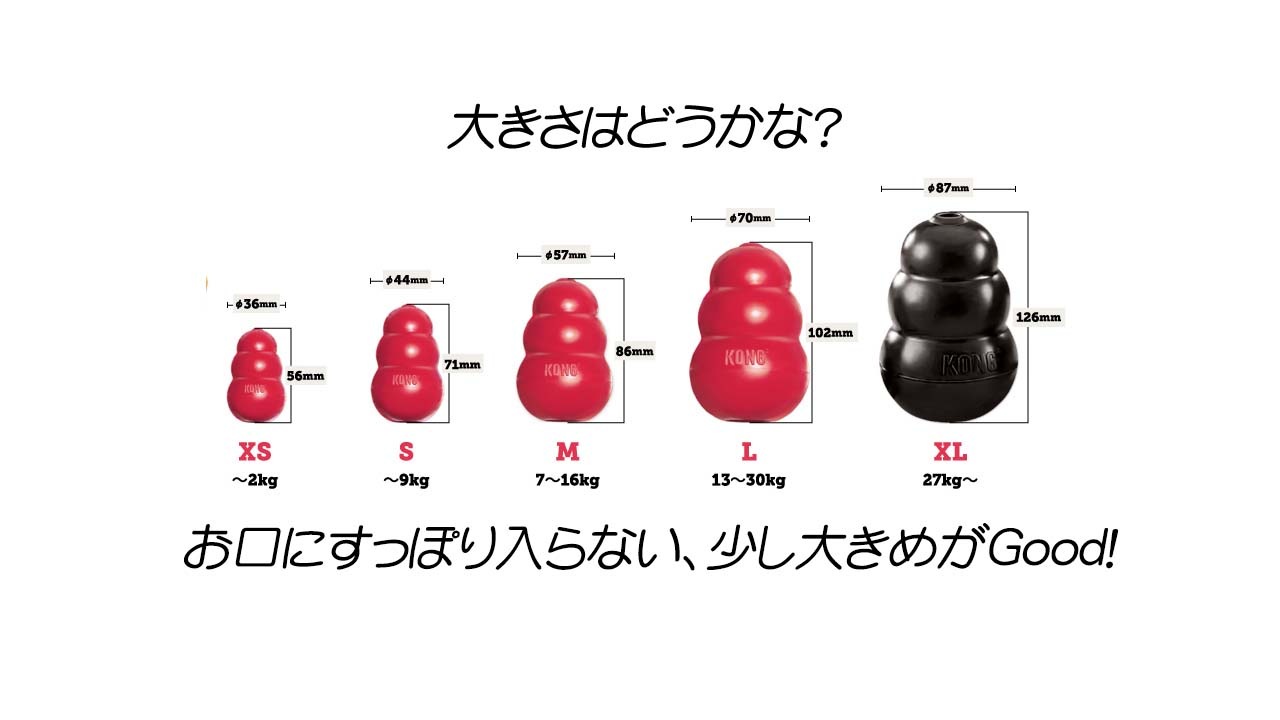 KONG パピーコング S