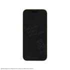 ディズニーキャラクター ／ iPhone 16 / 15 / 15 Pro / 14 / 14 Pro / 13 / 13 Pro 対応 ガラススクリーンプロテクター|ディズニー|た行