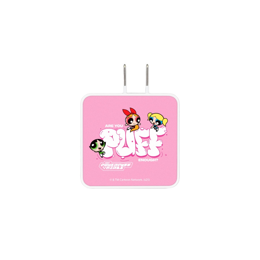 パワーパフ ガールズ USB Type-C ACアダプタ