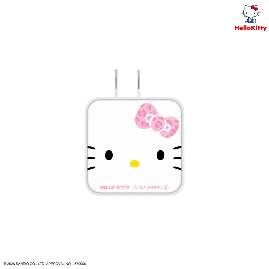 サンリオキャラクターズ USB / USB Type-C ACアダプタ