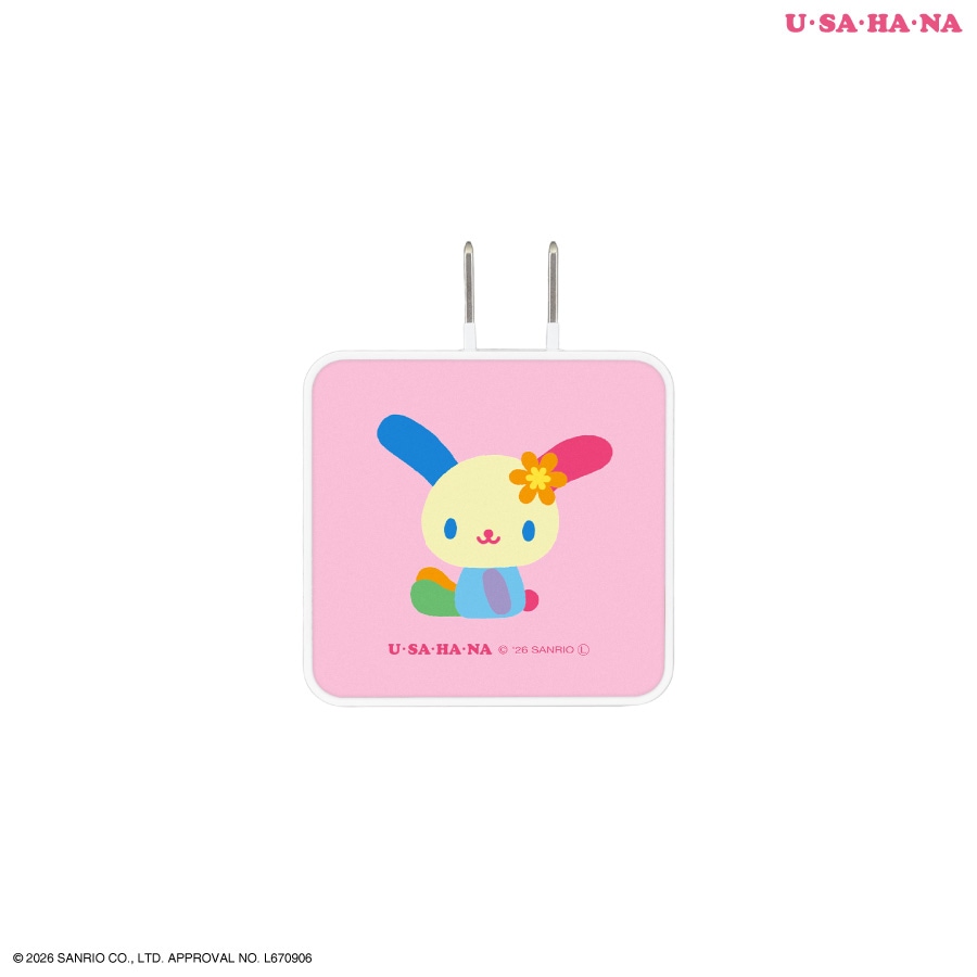 サンリオキャラクターズ USB Type-C ACアダプタ