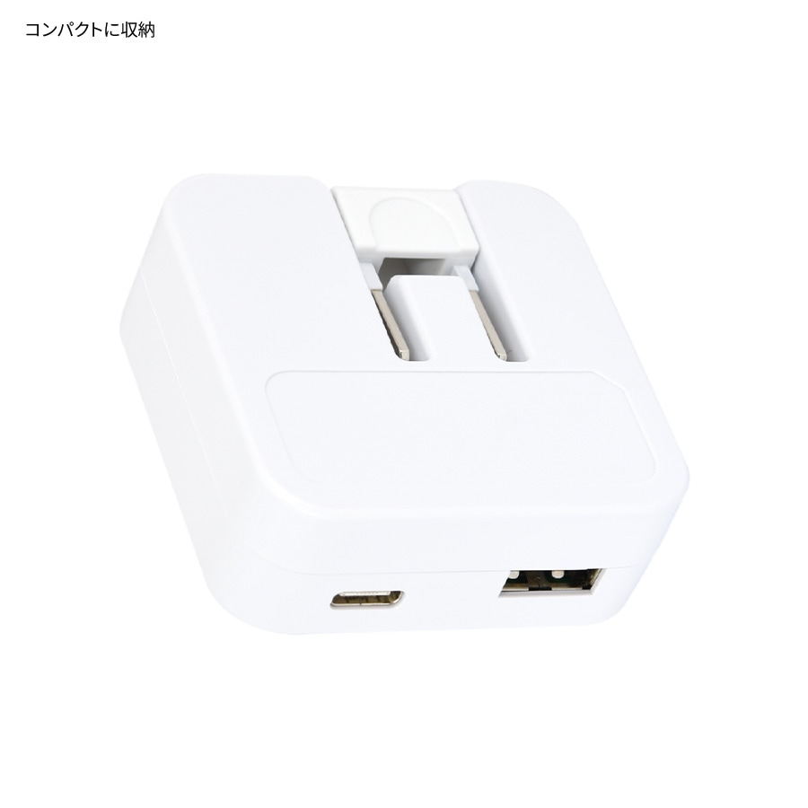 ミッフィー MIFFY FRUITS USB / USB Type-C ACアダプタ