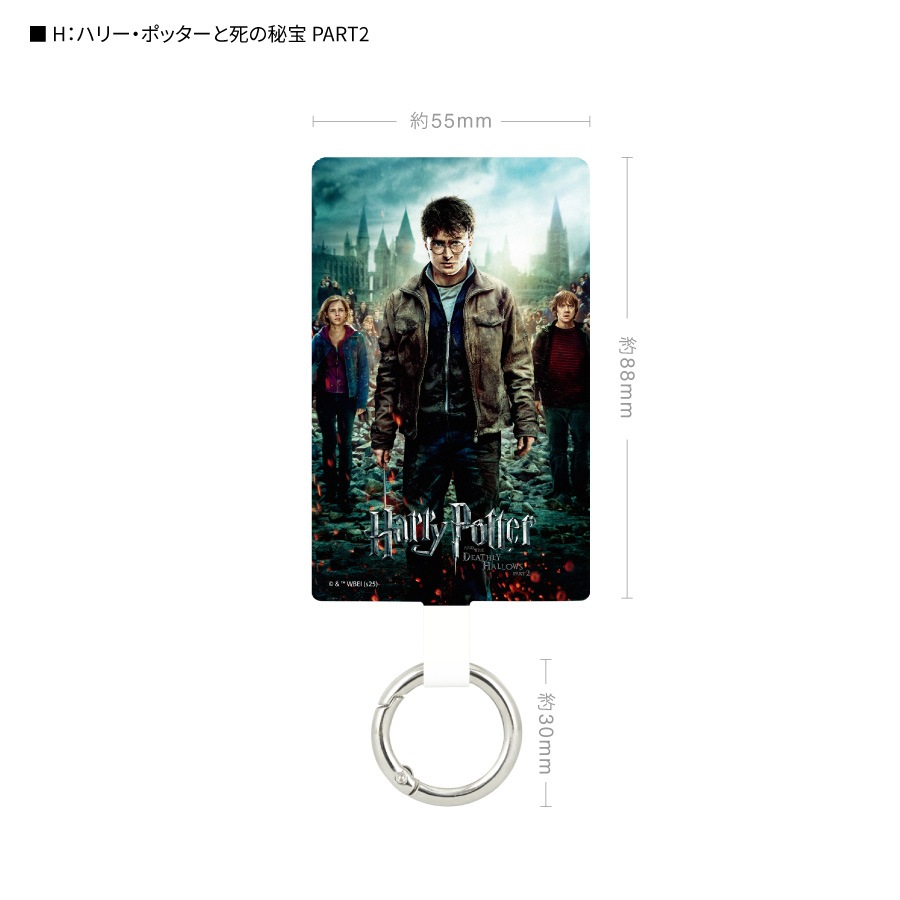 ハリー・ポッター マルチリングプラス Lサイズ