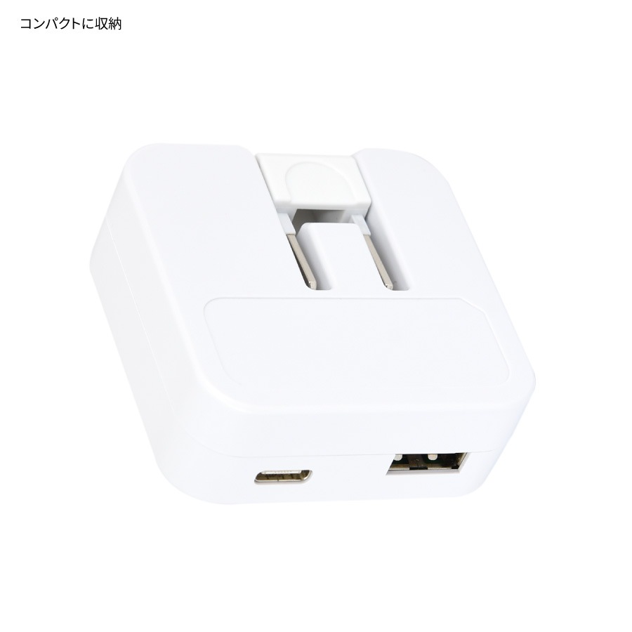 ジュラシック・ワールド USB/USB Type-C ACアダプタ