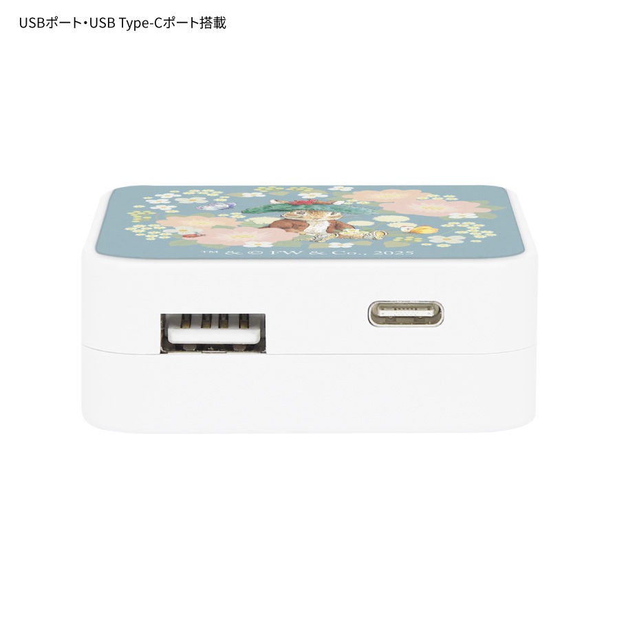 ピーターラビット(TM) USB / USB Type-C ACアダプタ