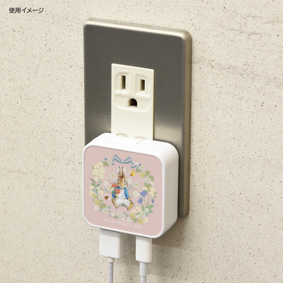ピーターラビット(TM) USB / USB Type-C ACアダプタ