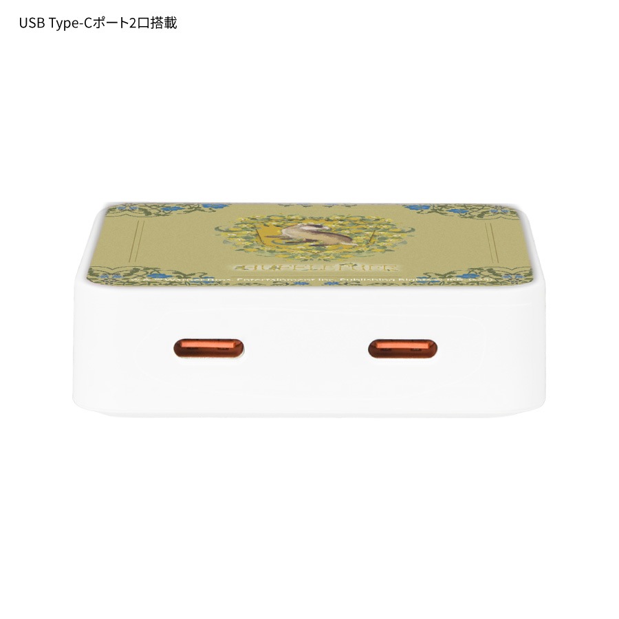 ハリー・ポッター USB Type-C ACアダプタ