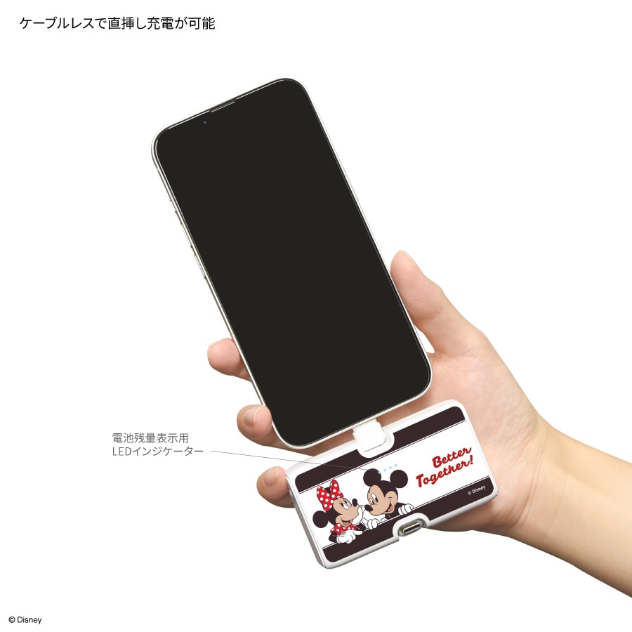ディズニーキャラクター、ピクサーキャラクター ／ Lightning / Type-C コネクタ付き リチウムイオン充電器 4000mAh