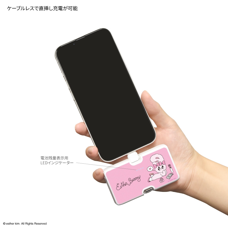 Esther Bunny Lightning / Type-C コネクタ付き リチウムイオン充電器 4000mAh