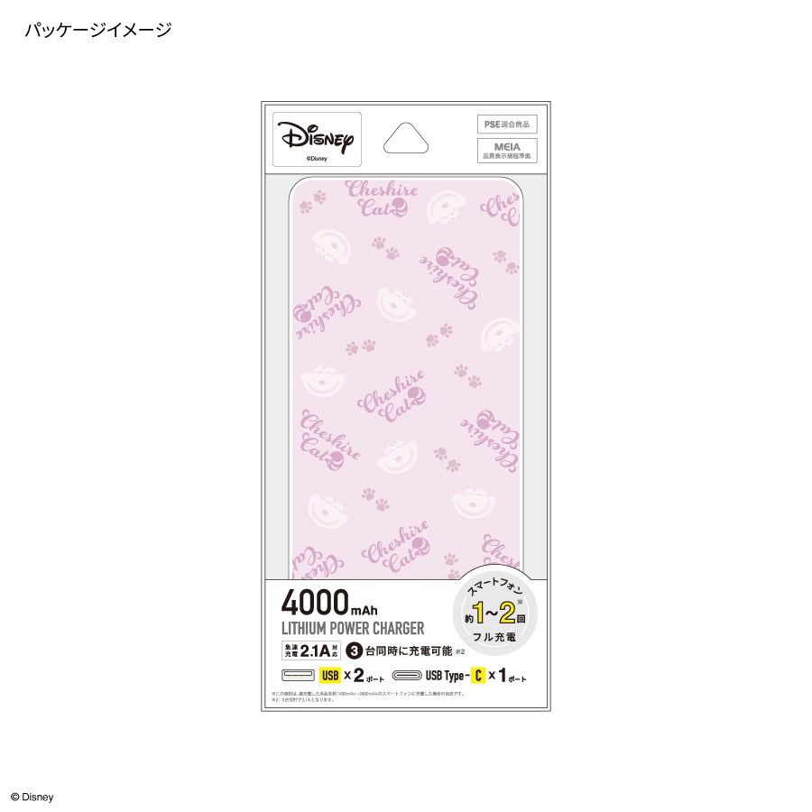 ディズニーキャラクター ／ USB / USB Type-C 4000mAh リチウムイオンポリマー 充電器 2.1A