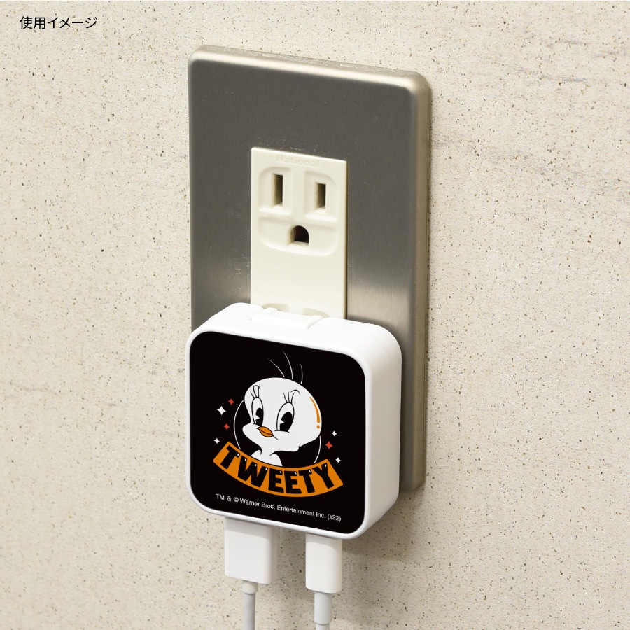 ルーニー・テューンズ USB/USB Type-C ACアダプタ