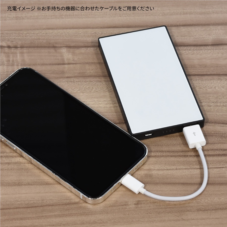 ルーニー・テューンズ 4000mAh ガラスリチウムイオンポリマー充電器 2.1A