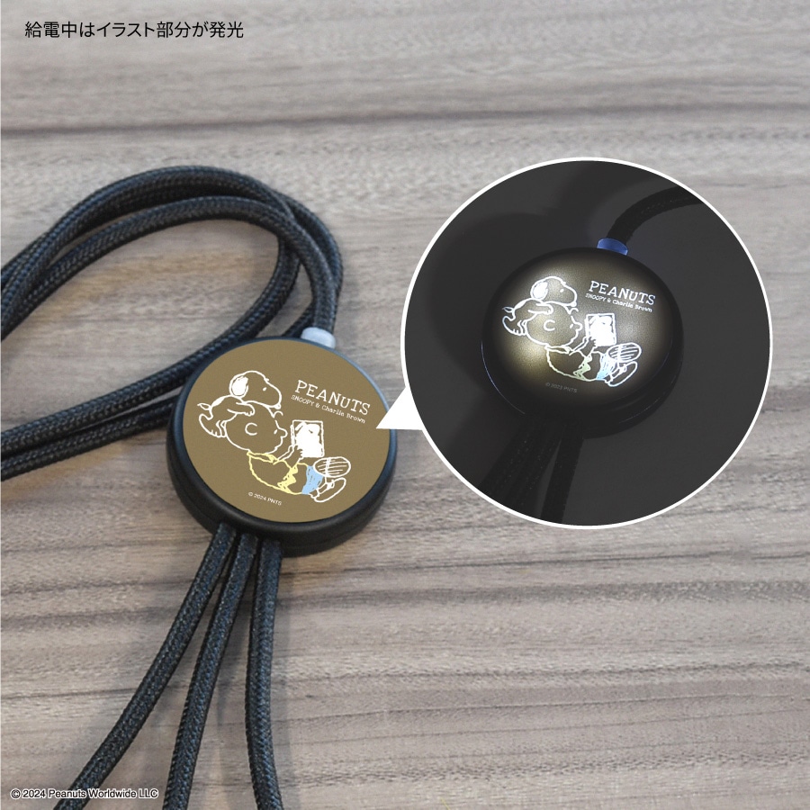 日産 充電ケーブル 充電コード EV リーフ 三菱 アイミーブ ミニキャブ