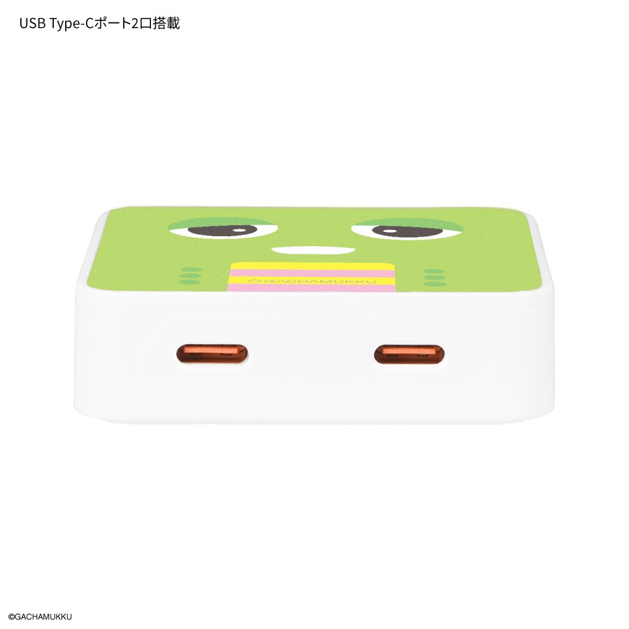 ガチャピン・ムック USB Type-C ACアダプタ