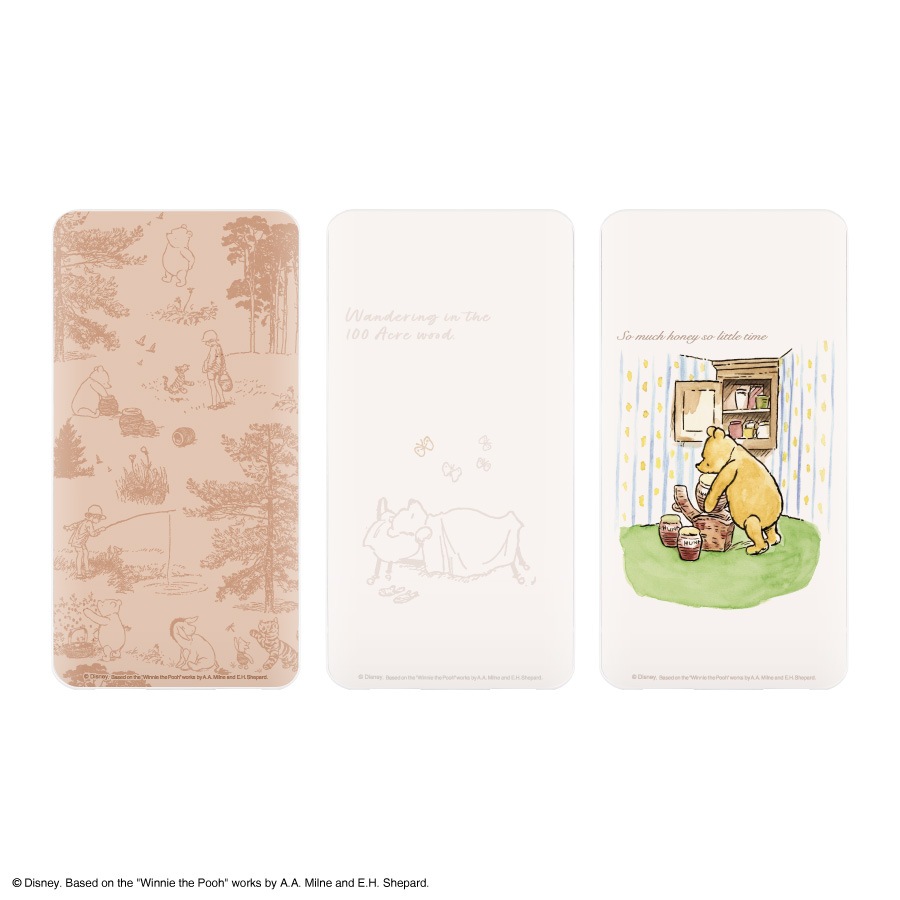 ディズニーキャラクター ／ USB/USB Type-C 4000mAh リチウムイオンポリマー充電器 2.1A