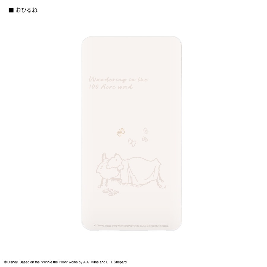 ディズニーキャラクター ／ USB/USB Type-C 4000mAh リチウムイオンポリマー充電器 2.1A