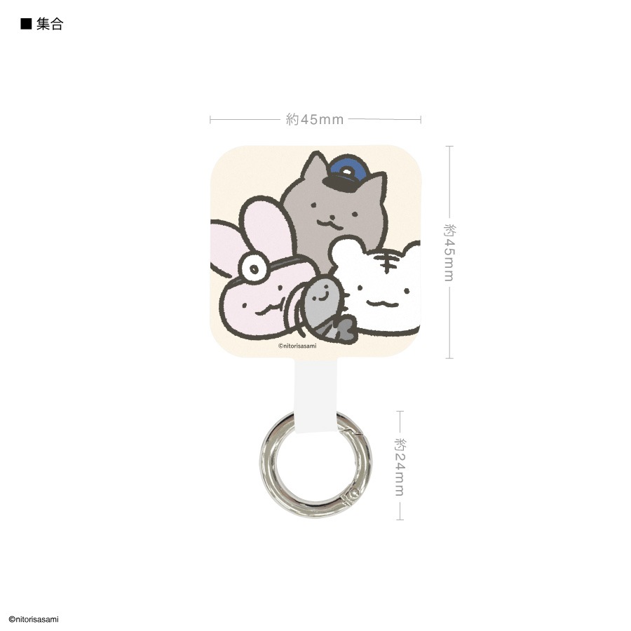 ホワイトタイガーとブラックタイガー マルチリングプラス