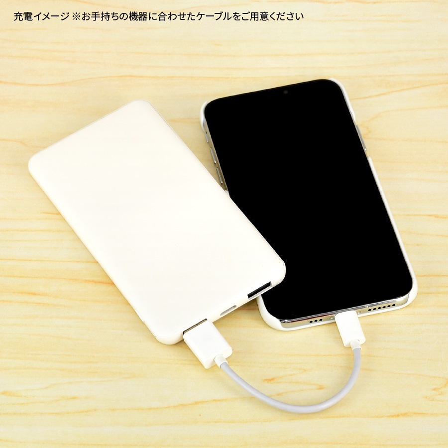 ピングー　USB/USB Type-C 4000mAh リチウムイオンポリマー充電器2.1A