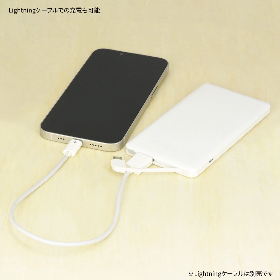 ほっこりモコモカ 4000mah リチウムイオンポリマー充電器 2 1a アイテムから探す 充電器 ケーブル モバイルバッテリー グルマンディーズ公式オンラインショップ