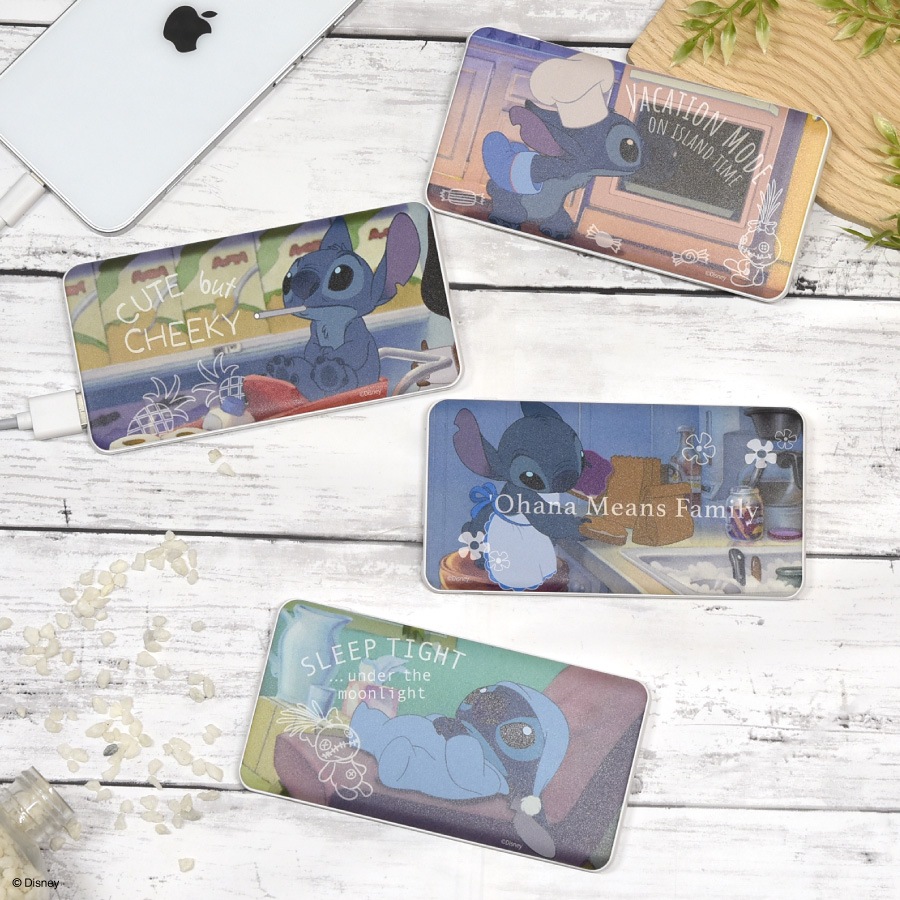 ディズニーキャラクター ／ USB / USB Type-C 4000mAh リチウムイオンポリマー 充電器 2.1A