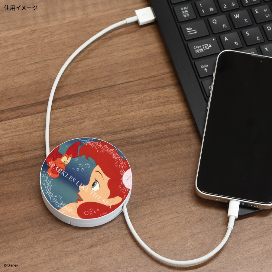 ディズニーキャラクター／コードリールケース