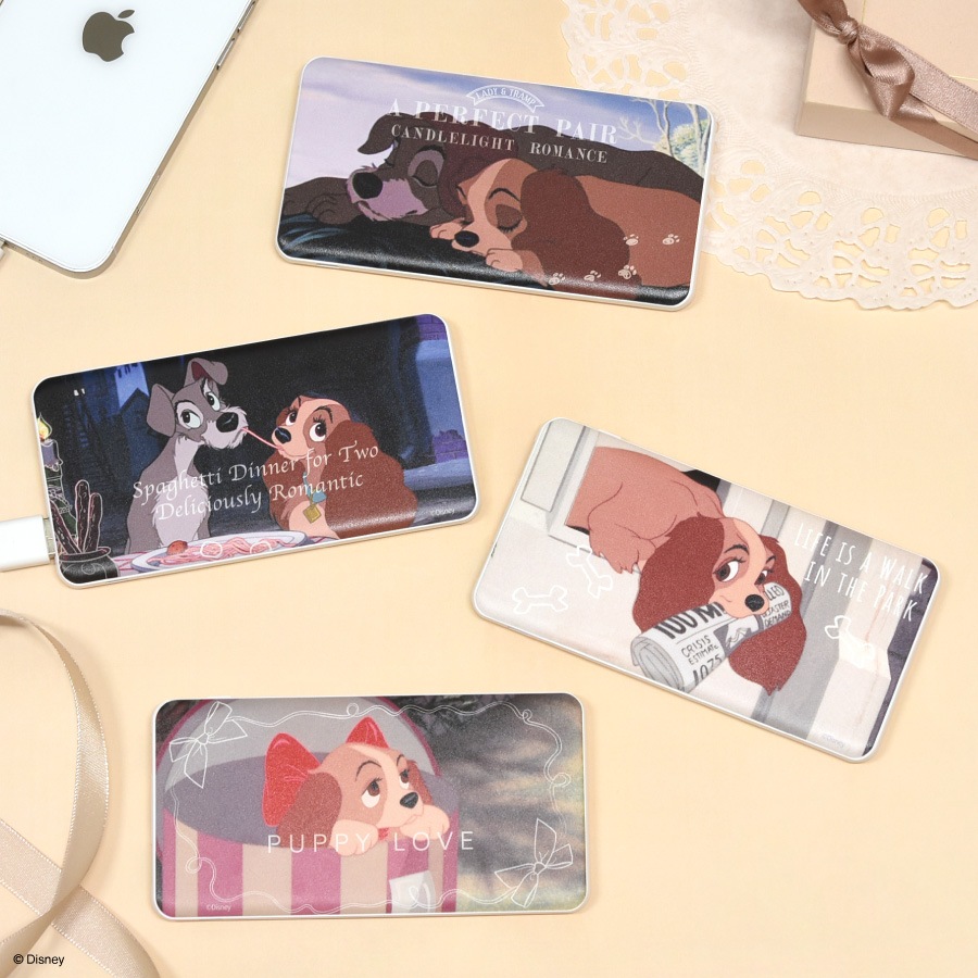 ディズニーキャラクター ／ USB / USB Type-C 4000mAh リチウムイオンポリマー 充電器 2.1A