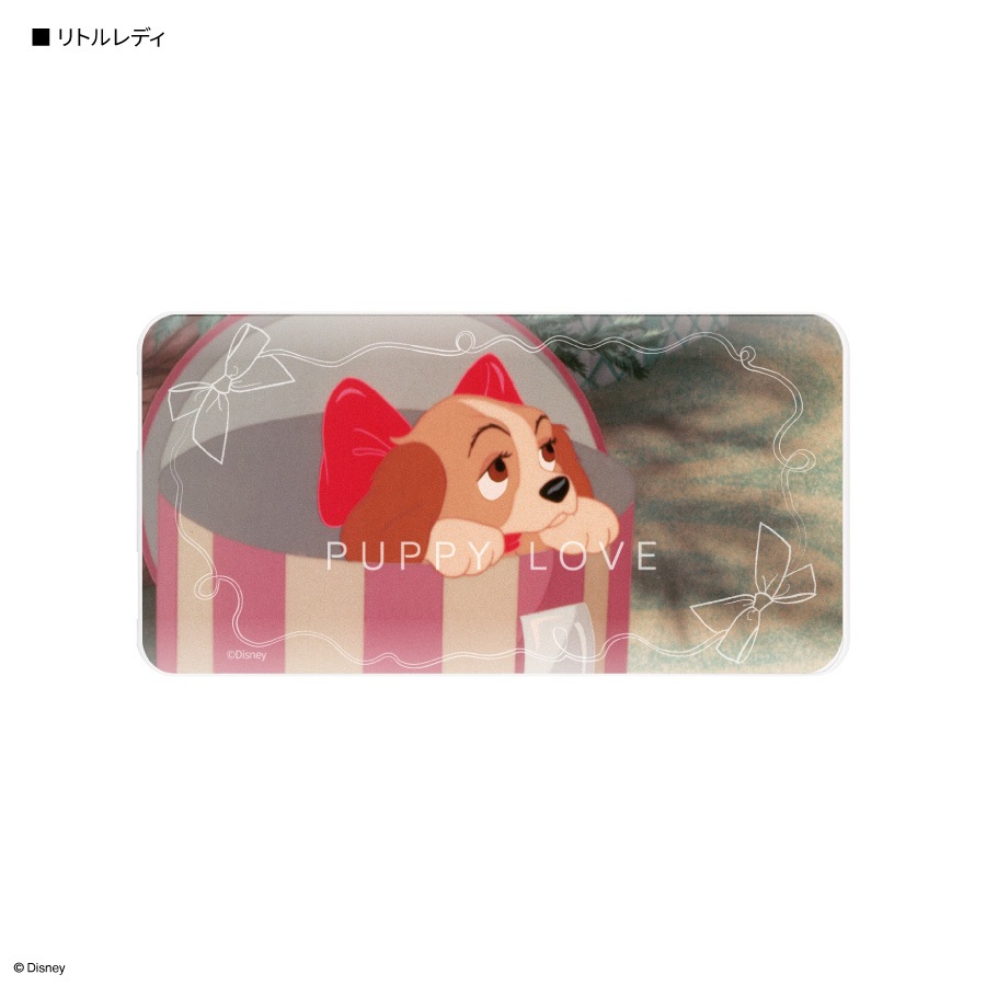 ディズニーキャラクター ／ USB / USB Type-C 4000mAh リチウムイオンポリマー 充電器 2.1A