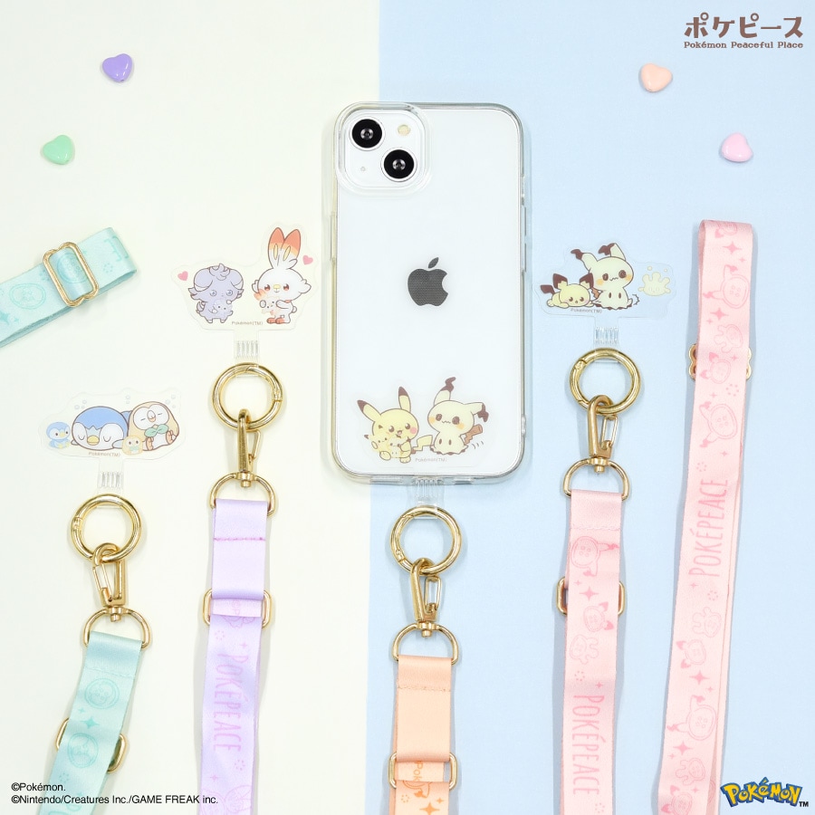 エウクライト·タイプミルビリリー隕石 標本