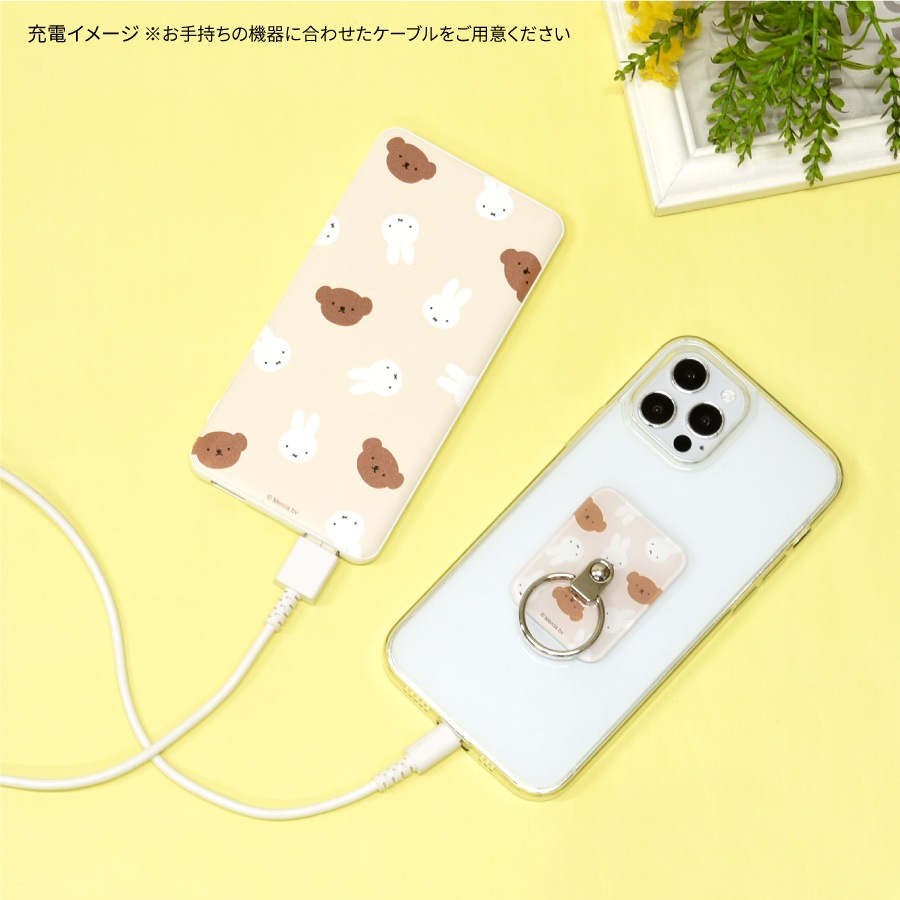 ミッフィー USB / USB Type-C 4000mAh リチウムイオンポリマー 充電器