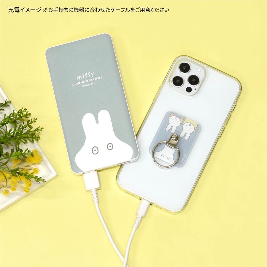 ミッフィー USB / USB Type-C 4000mAh リチウムイオンポリマー 充電器