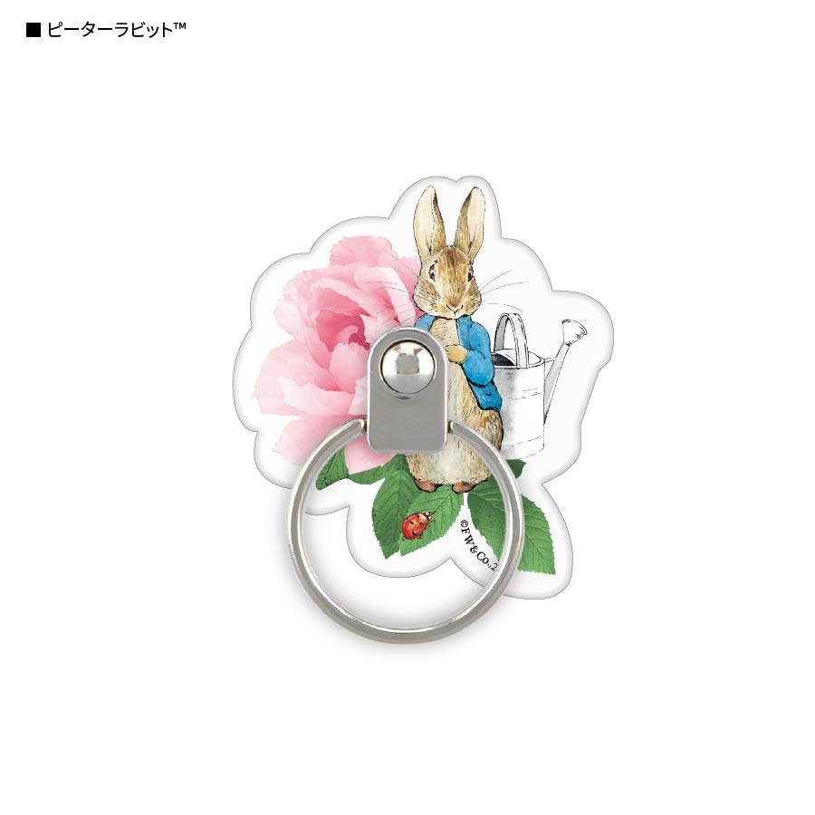 【レア】まるはなばち バビティ・バンブル ピーターラビット フィギュリン 置物 こわいわるいうさぎ フィギュリン ピーターラビット 置物 - メルカリ