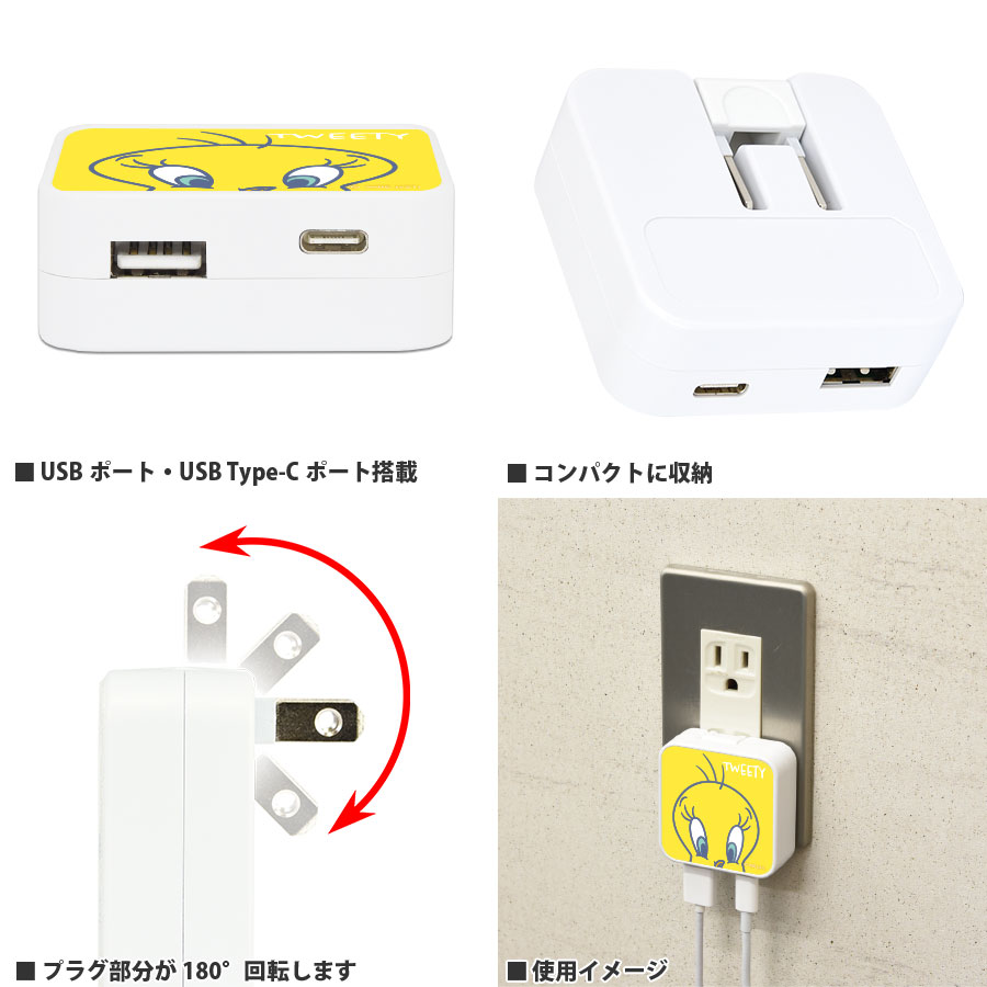 ルーニー・テューンズ　USB/USB Type-C ACアダプタ