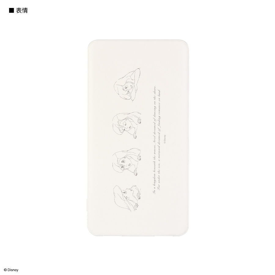 ディズニーキャラクター ／ USB/USB Type-C 4000mAh リチウムイオンポリマー充電器 2.1A