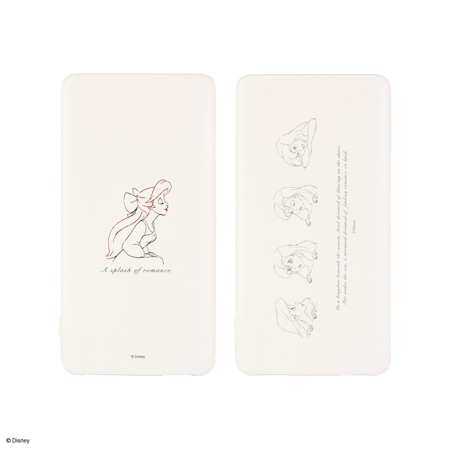 ディズニーキャラクター ／ USB/USB Type-C 4000mAh リチウムイオンポリマー充電器 2.1A