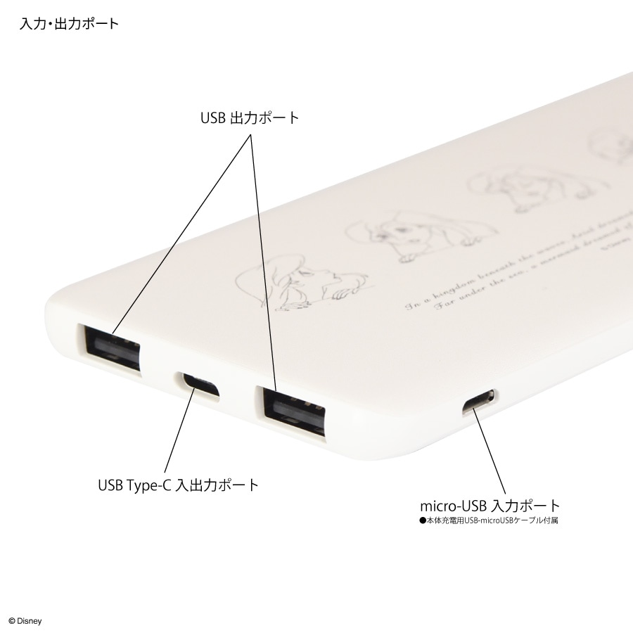 ディズニーキャラクター ／ USB/USB Type-C 4000mAh リチウムイオンポリマー充電器 2.1A