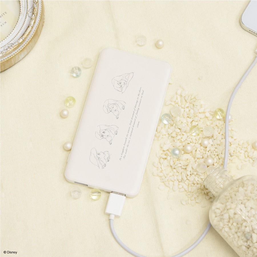 ディズニーキャラクター ／ USB/USB Type-C 4000mAh リチウムイオンポリマー充電器 2.1A